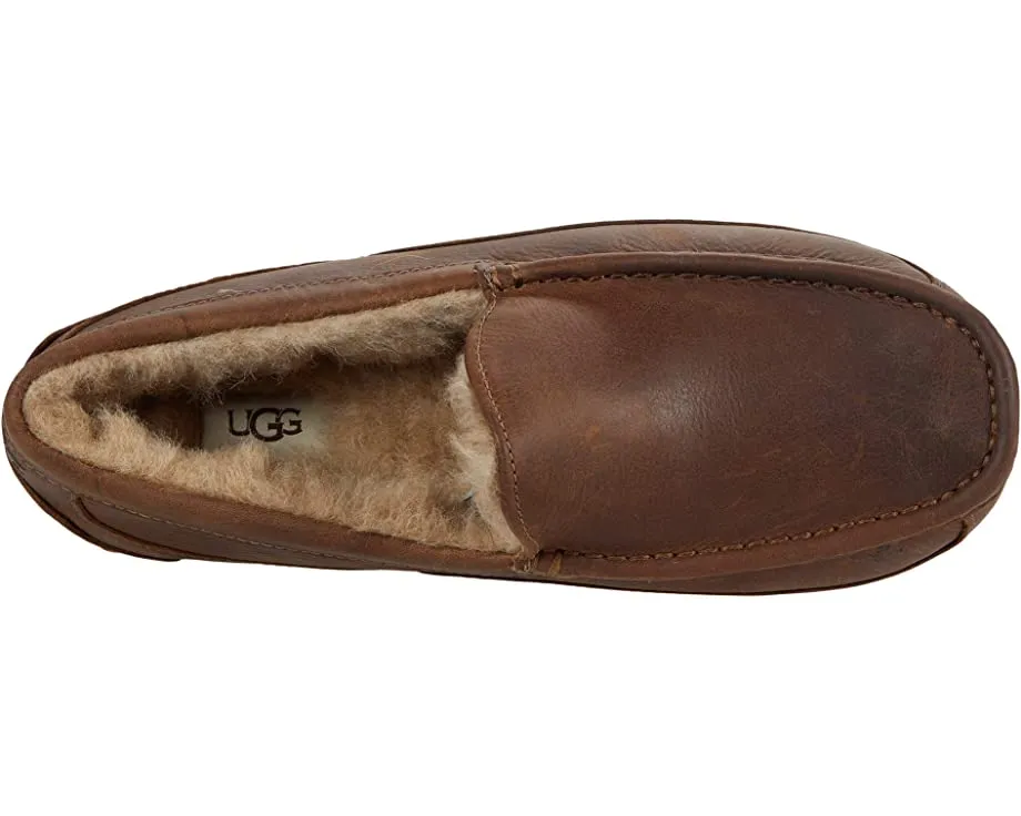 Ascot UGG slippers, tan