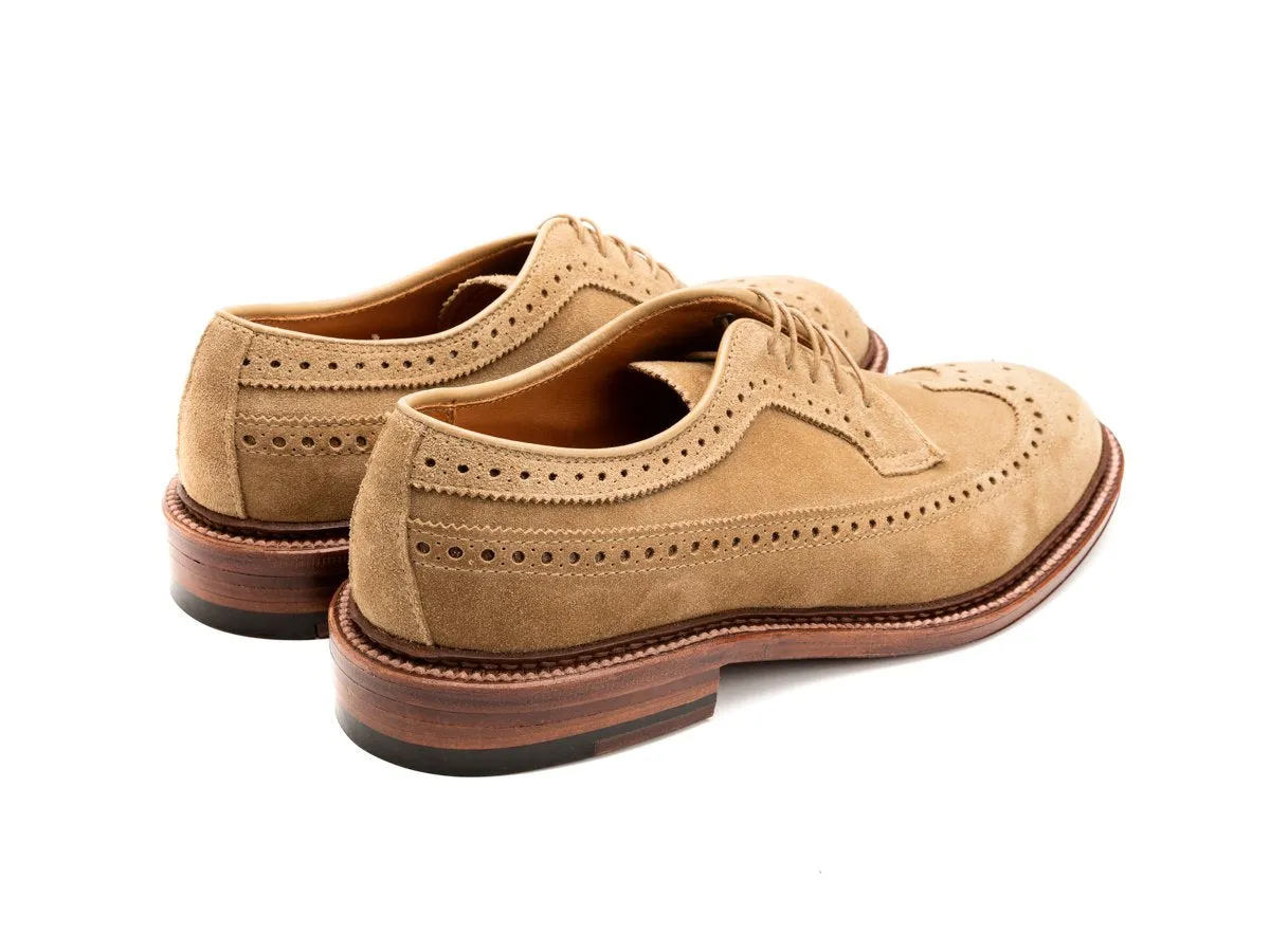 Longwing Blucher Tan Suede E-width