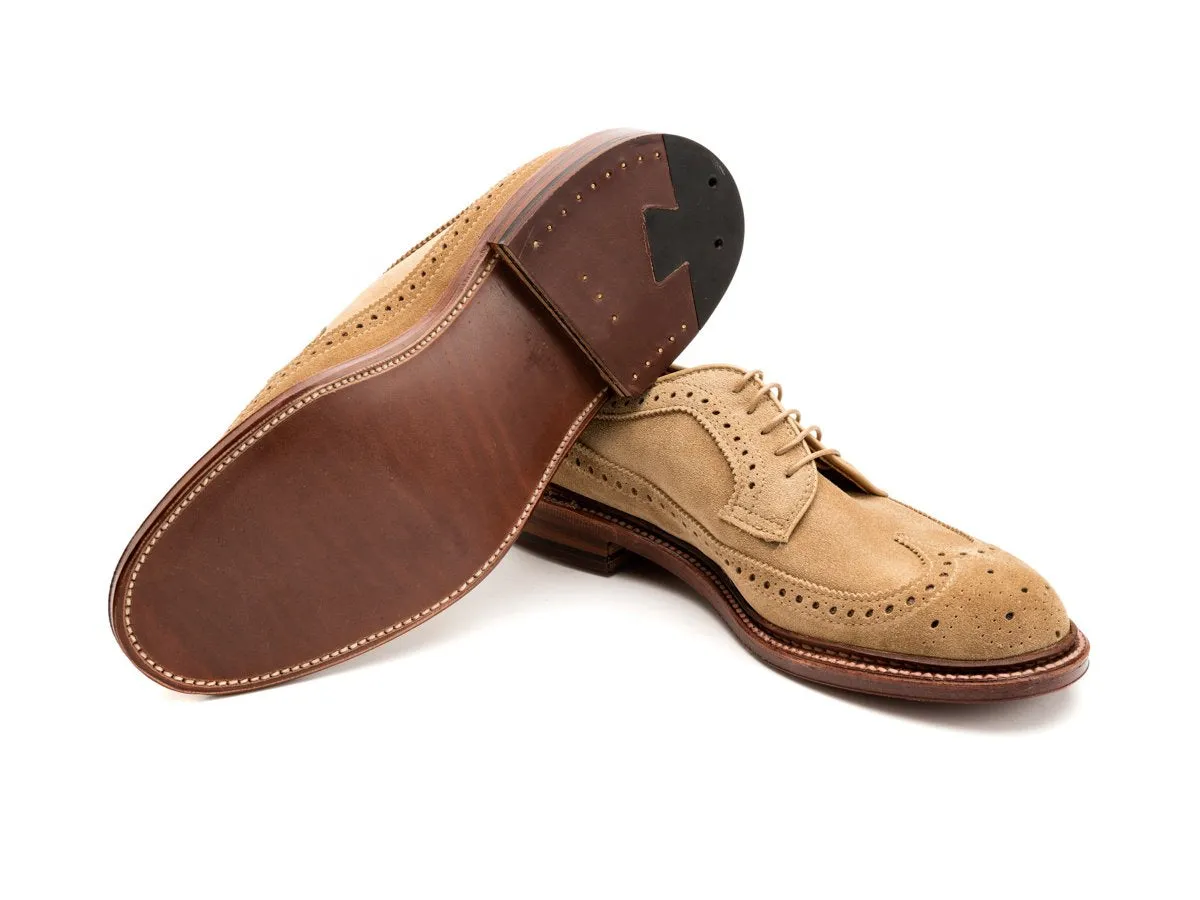 Longwing Blucher Tan Suede E-width