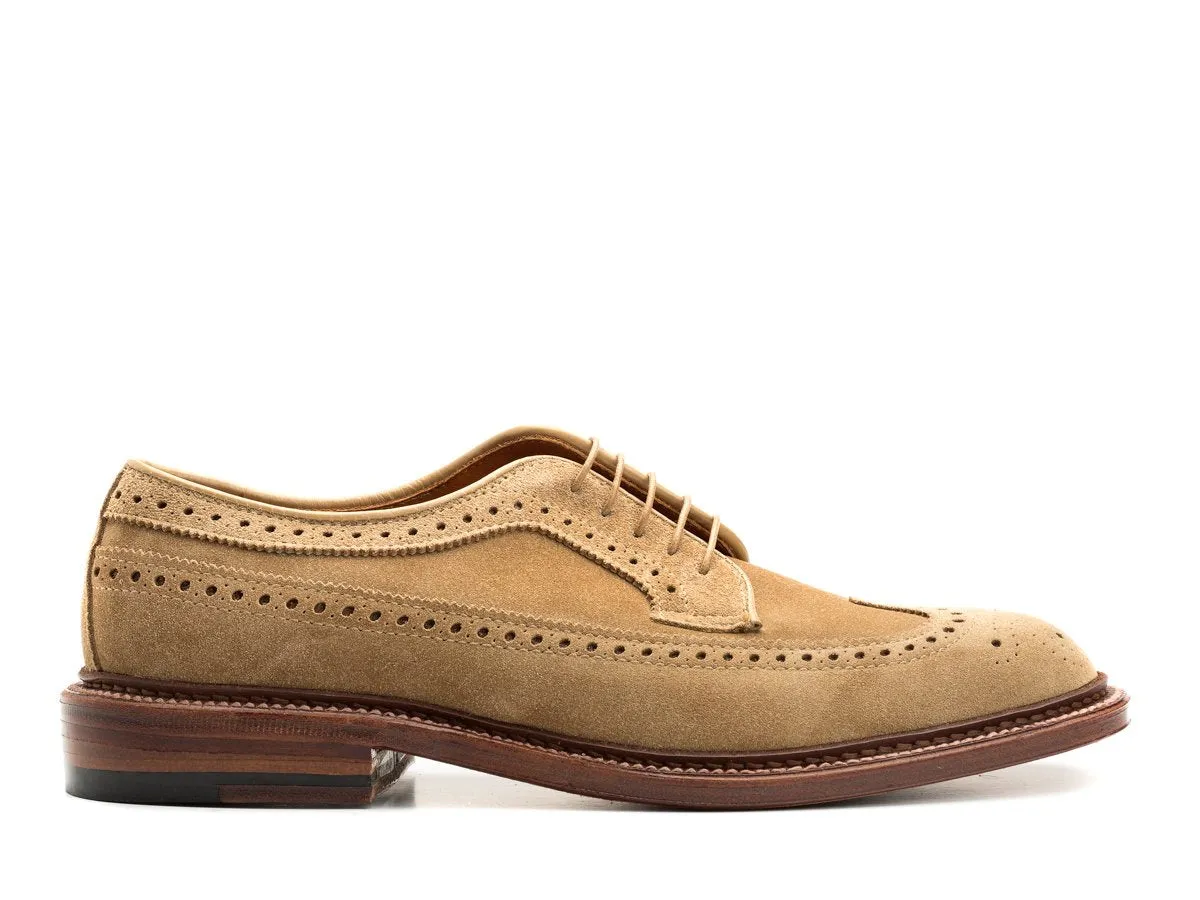 Longwing Blucher Tan Suede E-width